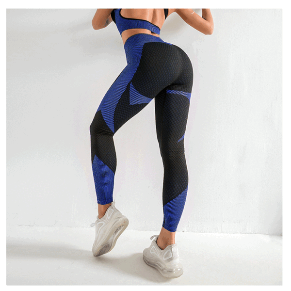 Trim & Tone: Quick Drying Seamless Yoga Pants Aston Sienna