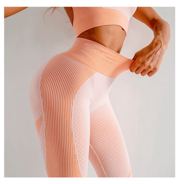 Trim & Tone: Quick Drying Seamless Yoga Pants Aston Sienna