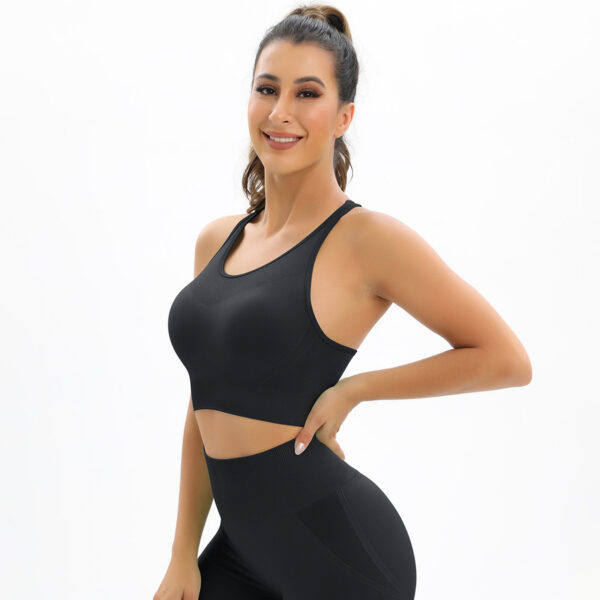 Aston Sienna Seamless Push Up Sports Bra