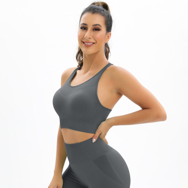 Aston Sienna Seamless Push Up Sports Bra