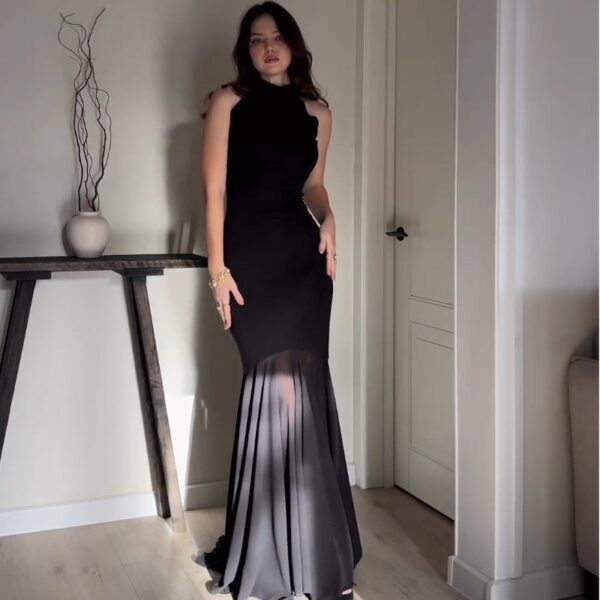 Aston Sienna Sexy Slim Fit Mesh Dress