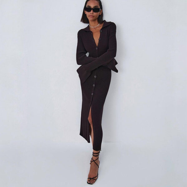 Cozy Chic: Autumn Long Sleeve V-neck Button Bell Sleeve Dress Sweater Aston Sienna