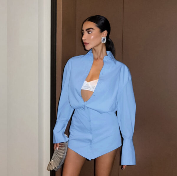 Effortless Charm: Blue Collared Sheath Dress