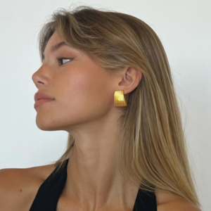 Striped trapezoidal earrings with special lines