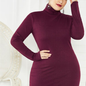 Women's Plus Size Knit Turtleneck Long Sleeve Dress